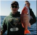 41_michael_snapper
