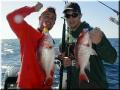 50_joey&michael_snappers