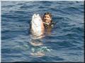 55_joey_big_snapper