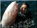 57_joey_snapper_med