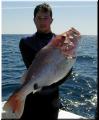 59_michael_snapper