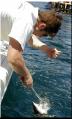 71_michael_shark