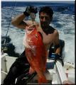 78_joey_snapper_weighin