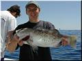 80_mark_grouper