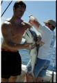 91_michael_shark