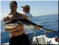 92_michael_scotty_shark