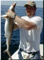 94_scotty_shark