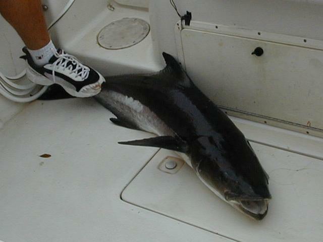 10_Ling_inthe_Boat