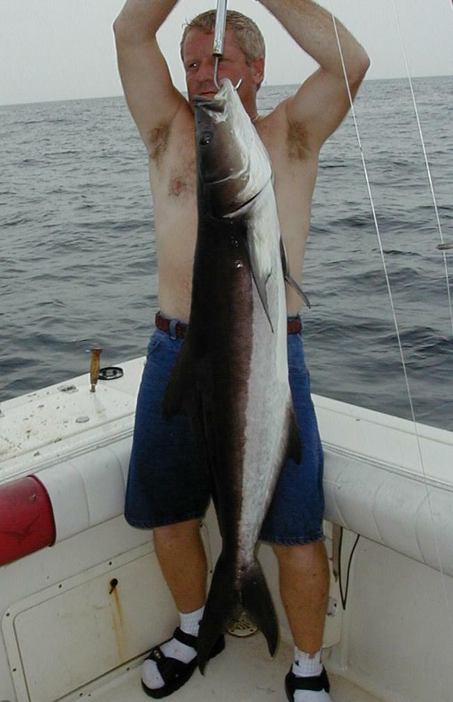 13_Jimmy_Cobia