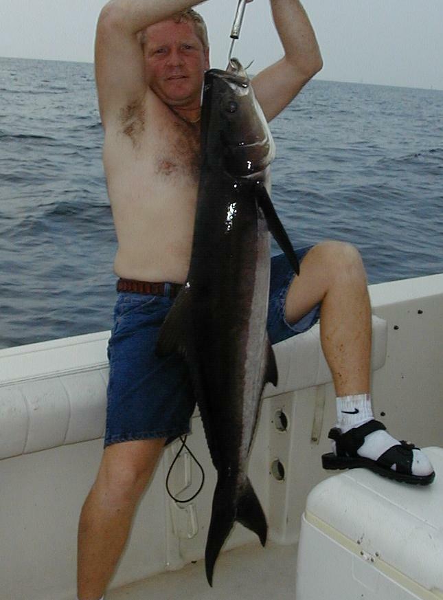 14_Jimmy_Cobia