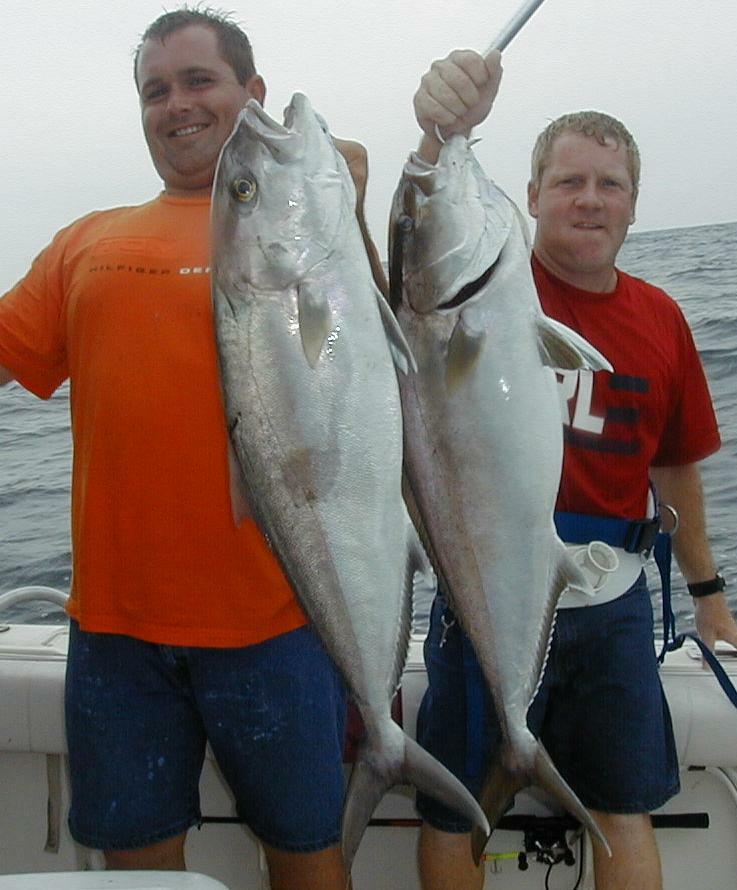 37_Roy_Jimmy_AJs