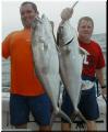 37_Roy_Jimmy_AJs