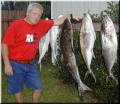 51_Jimmy_Catch