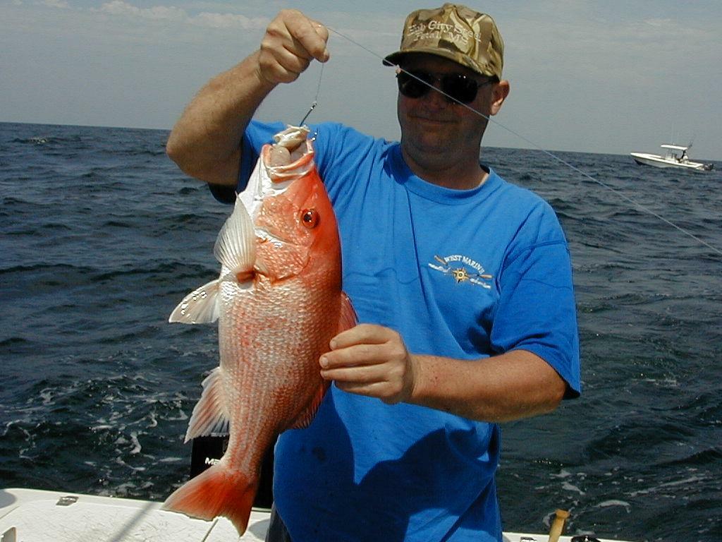 08_Gus_Snapper_1024