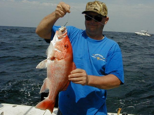 08_Gus_Snapper_640