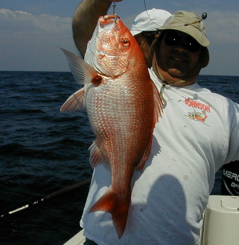 17_Perry_Snapper
