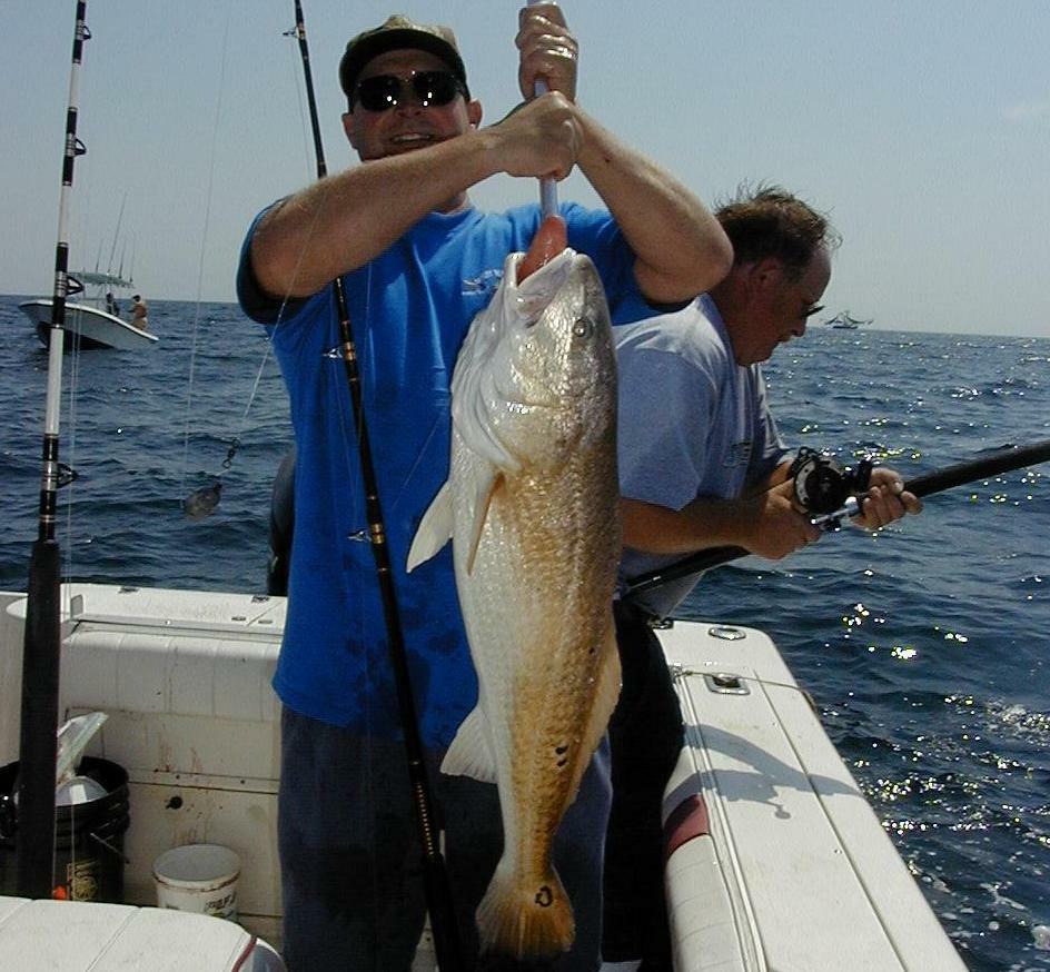 21_Gus_Redfish