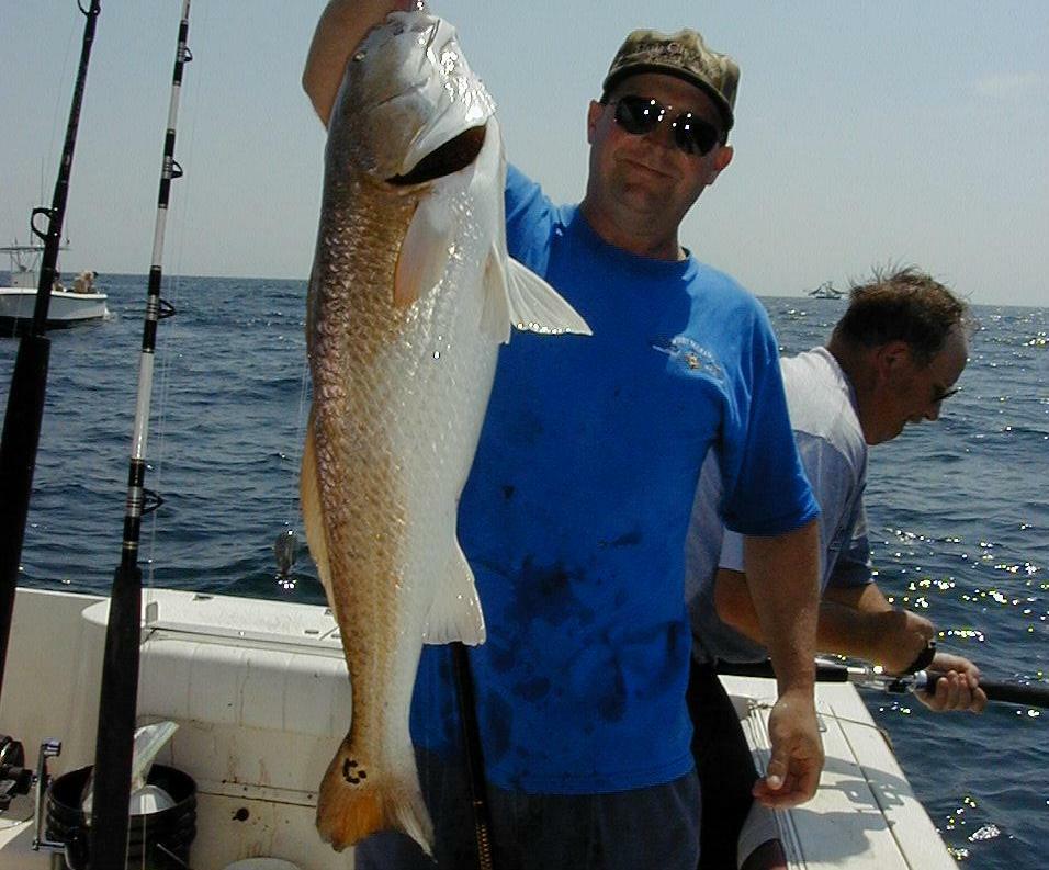22_Gus_Redfish