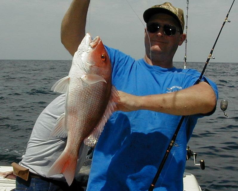 32_Gus_Snapper