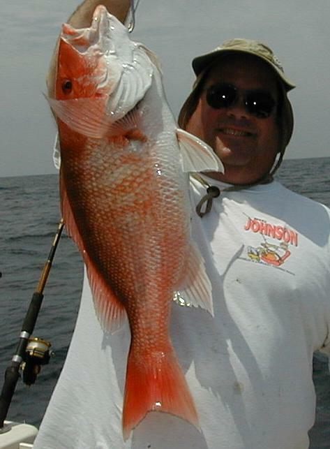 54_Perry_Snapper