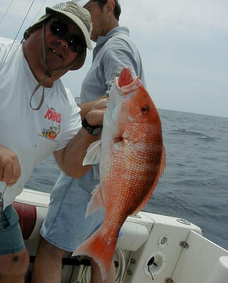 58_Perry_Snapper