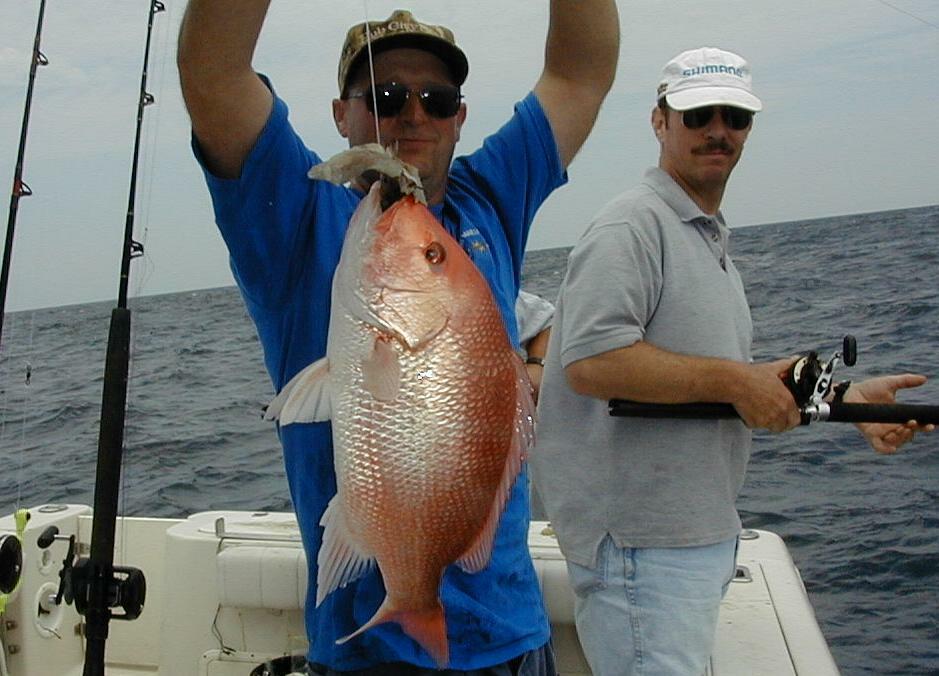 61_Gus_Snapper