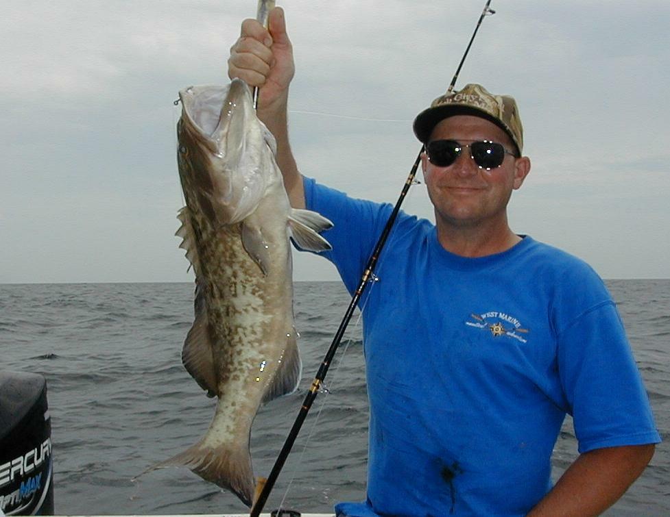 62_Gus_Grouper