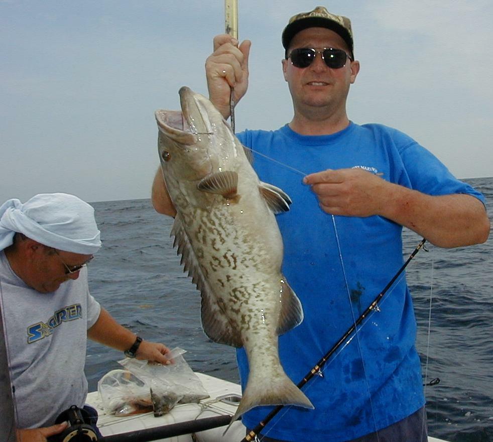 69_Gus_Grouper