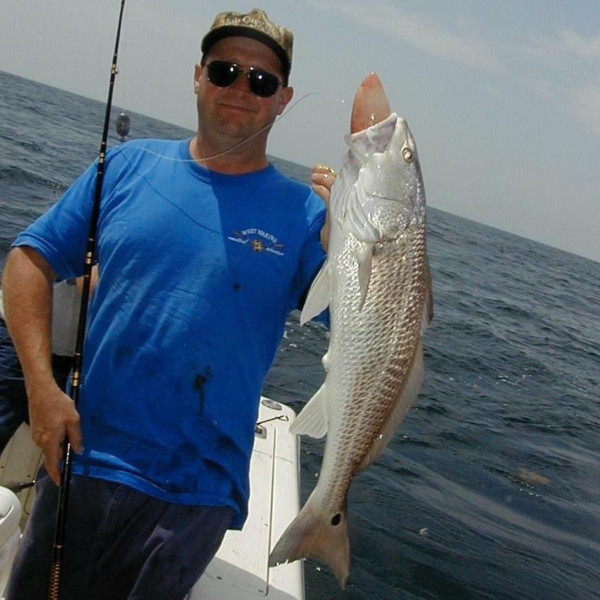 71_Gus_Redfish