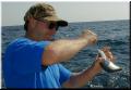 07_Gus_Bait