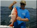 08_Gus_Snapper_640