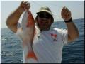 14_Perry_Snapper_1024