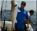 22_Gus_Redfish