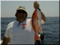 24_Perry_Snapper_1024