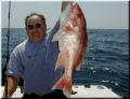 26_Jerry_Snapper