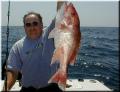 26_Jerry_Snapper_640