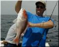 32_Gus_Snapper