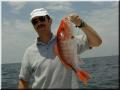 39_Walter_Snapper_1024