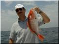 39_Walter_Snapper_640