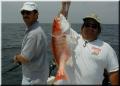 55_Perry_Walter_Snapper