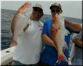 56_Perry_Gus_Snappers