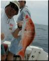 58_Perry_Snapper
