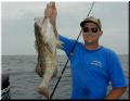 62_Gus_Grouper