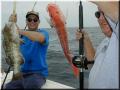 63_Gus_Grouper_Jerry_Snapper