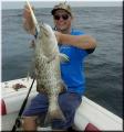 64_Gus_Grouper_640