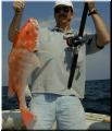 76_Walter_Snapper