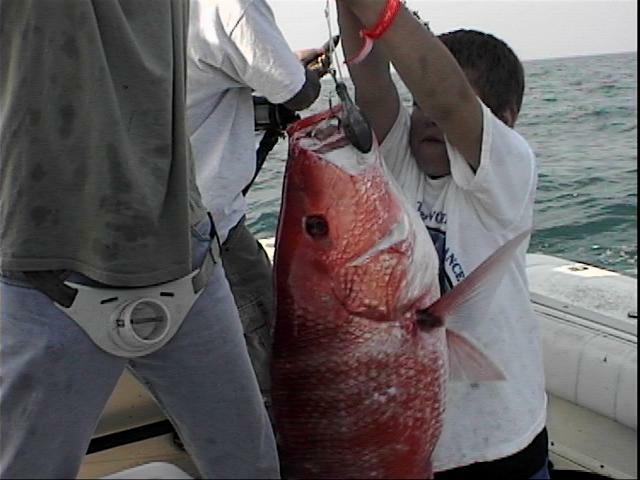 benm_snapper