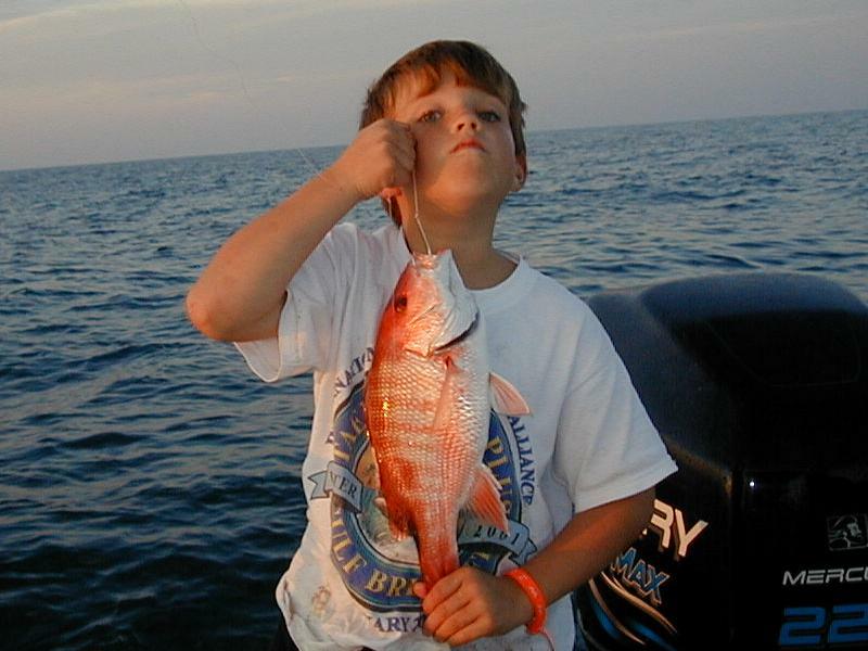 benm_snapper11100051
