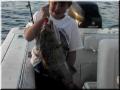 benm_grouper