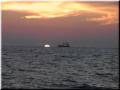 susnet-